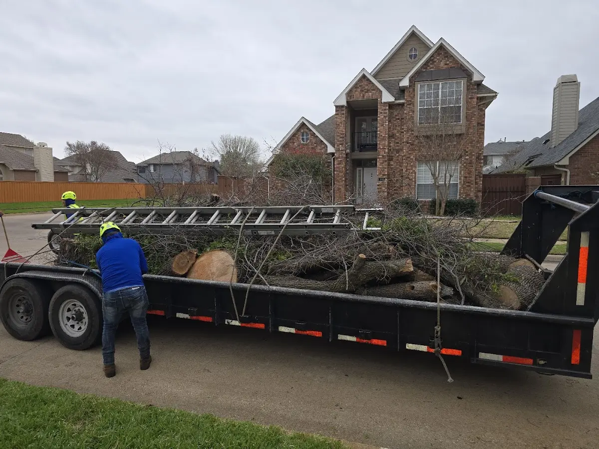 Expert Tree Fertilization with proper safety equipment in Newmarket